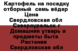 Картофель на посадку, отборный (семь вёдер) › Цена ­ 50 - Свердловская обл., Североуральск г. Домашняя утварь и предметы быта » Растения   . Свердловская обл.,Североуральск г.